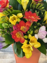 Freesia Pot Arrangement